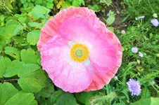 DSCF6598 (2).webp
