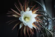DSCF6649 (2).webp