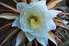 DSCF6660 (2).webp