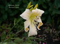 IMG_2524-2.webp