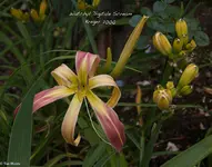 IMG_2543-2.webp