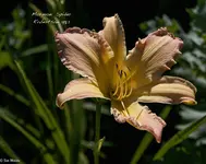 IMG_2567-2.webp