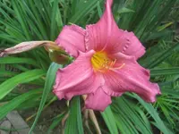 002.webp