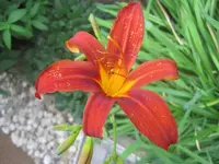 003.webp