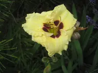 004.webp