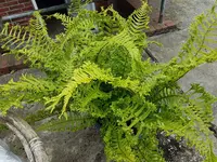 PHOTO_20160704_162036.webp