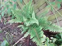 PHOTO_20160704_162129.webp