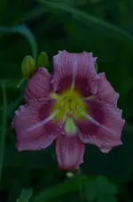 9unbekannt2.webp