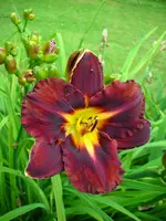 DSCI4160.webp
