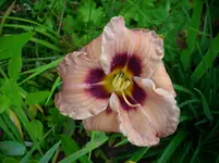 DSCI4159.webp