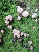 004_576x768.webp