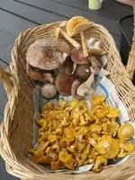 005_576x768.webp