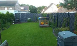 IMAG0096.jpg