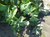 20160704_172947.jpg