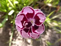 P1190236.webp