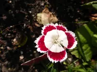 P1190239.webp