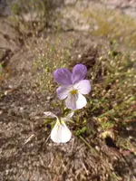 P1190421.webp