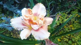 IMG-20160704-WA0011.webp