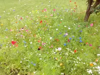 IMG_20160704_160757.webp