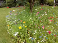 IMG_20160704_160813.webp