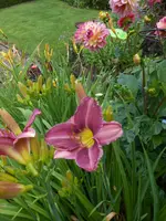 DSCN4255.jpg