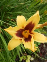 DSCN4256.webp