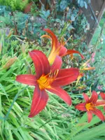 DSCN4257.jpg