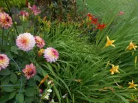 DSCN4258.webp