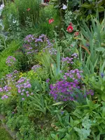 DSCN4260.webp