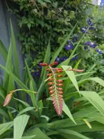 DSCN4268.jpg