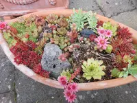 DSCN4275.webp