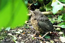 DSCF6643 (2).webp
