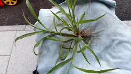 20160704_205304.webp