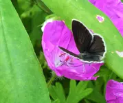DSCF6645 (3).webp