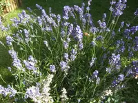 BILD5240.webp