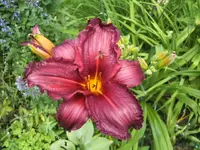 BILD5276.webp