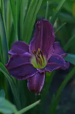 10apresmoi.webp
