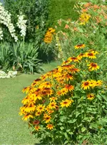 10garten.webp