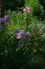 10garten1.webp