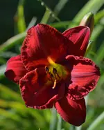 10melitta.webp