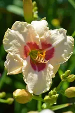 10silgundolp.webp
