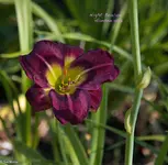 IMG_2760-2.webp