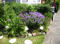 100_1754.webp