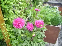 100_2028.jpg