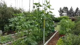 20160705_165238.webp