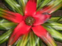 Bilda395.webp