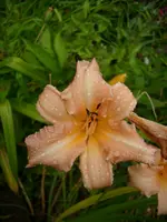 DSCI4167.webp