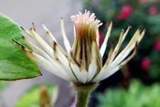 DSCN7271.webp