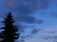 DSCN7263.webp