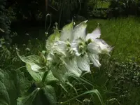 BILD5255.webp